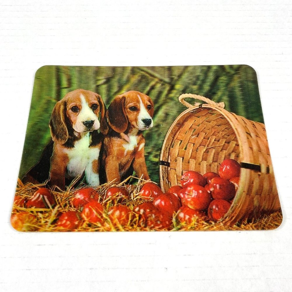 Beagle Puppies‎ Apples Cute Dogs 3-D 3D Postcard Unposted Vari-Vue 1960s Vintage